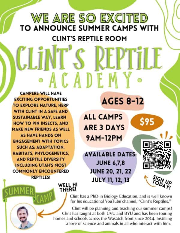 Clint's Reptile Room A Hands On Reptile Experience